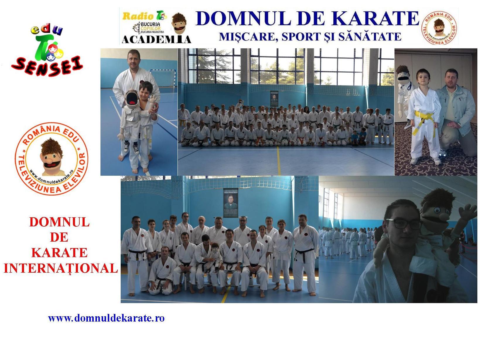 Domnul de karate INTERNAȚIONAL